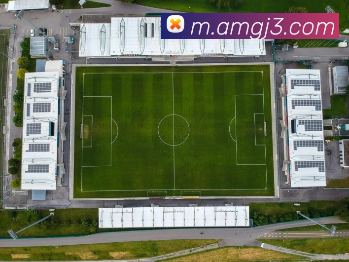 8868体育平台生态图