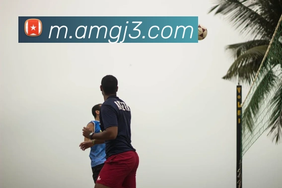 8868体育APP 封面图